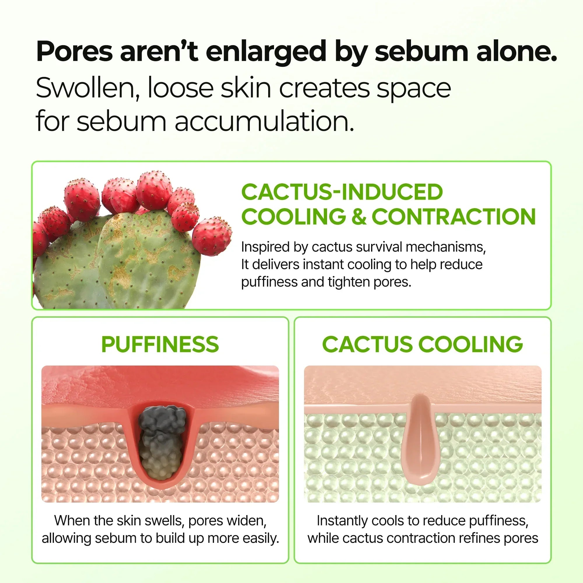 Meesue CACTOX Pore Relief Multi Balm for Pores, Puffiness & Skin Texture